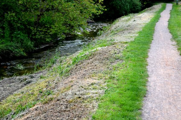 Cost of Trail Cutting in Waco