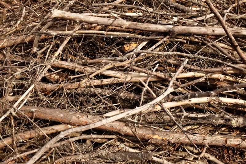 Brush Removal Service